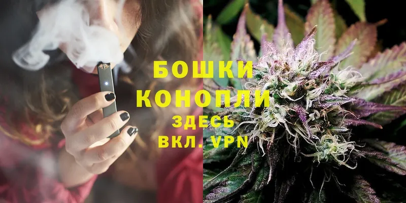 Канабис OG Kush  Карабулак 